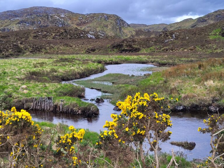 Lire la suite à propos de l’article L&rsquo;Ecosse Sauvage – Baptême dans les Hautes-Terres